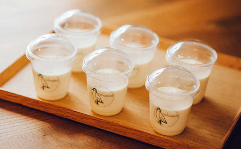 画像:パンナコッタ